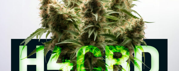 H4CBD